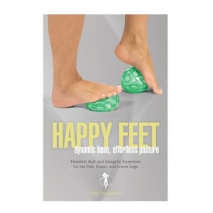 Happy feet book