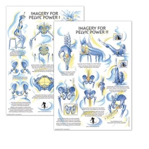 pelvic power poster  set